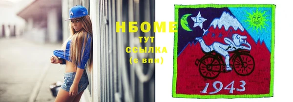 молекула духа Богородск