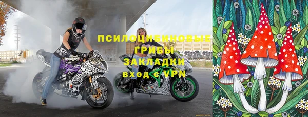 ПСИЛОЦИБИНОВЫЕ ГРИБЫ Белоозёрский