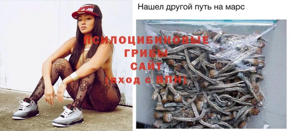 таблы Бородино