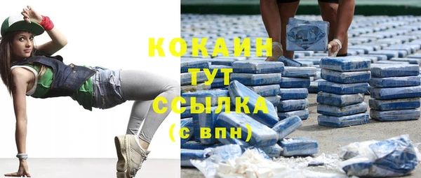 ПСИЛОЦИБИНОВЫЕ ГРИБЫ Белоозёрский