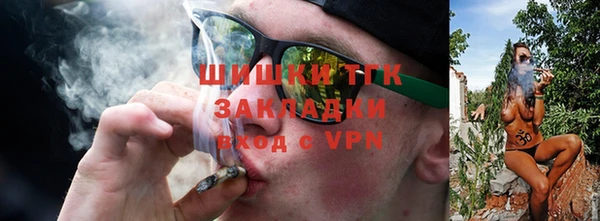 соль ск Богородицк