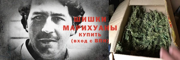 спайс Богданович
