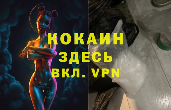 молекула духа Богородск