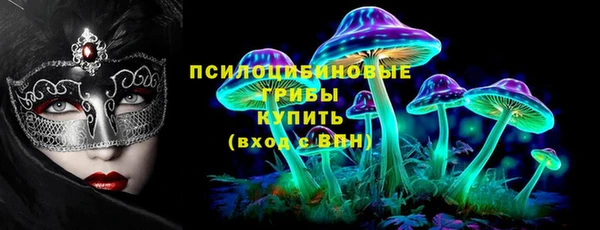 дмт Белокуриха