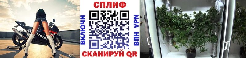Канабис VHQ  купить закладку  Дрезна 